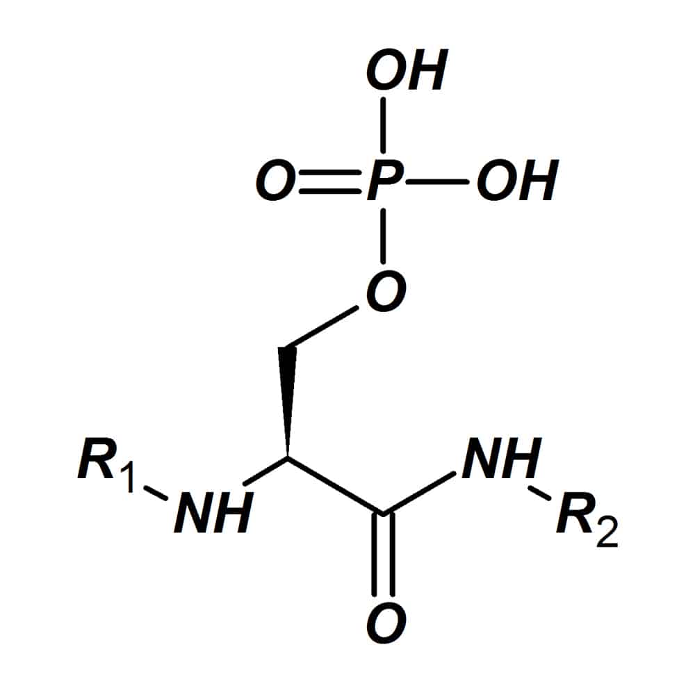 1.Phosphoserine