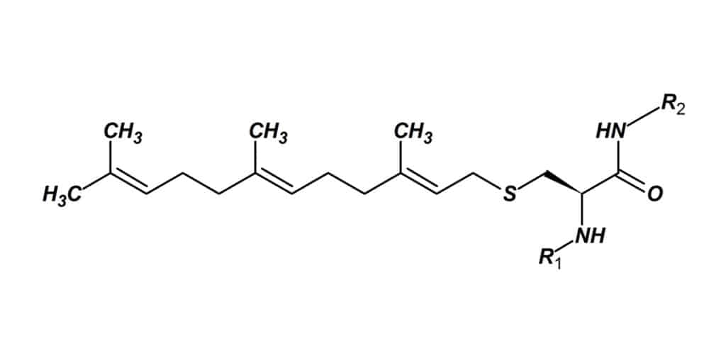 2.Geranyl