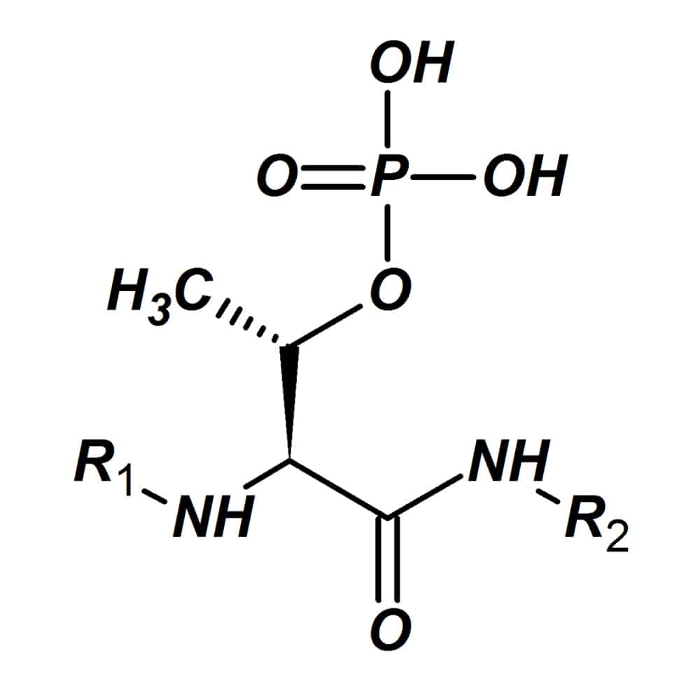 2.Phosphothreonine