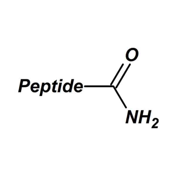 2.amide