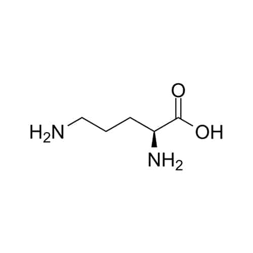 3.Ornithine