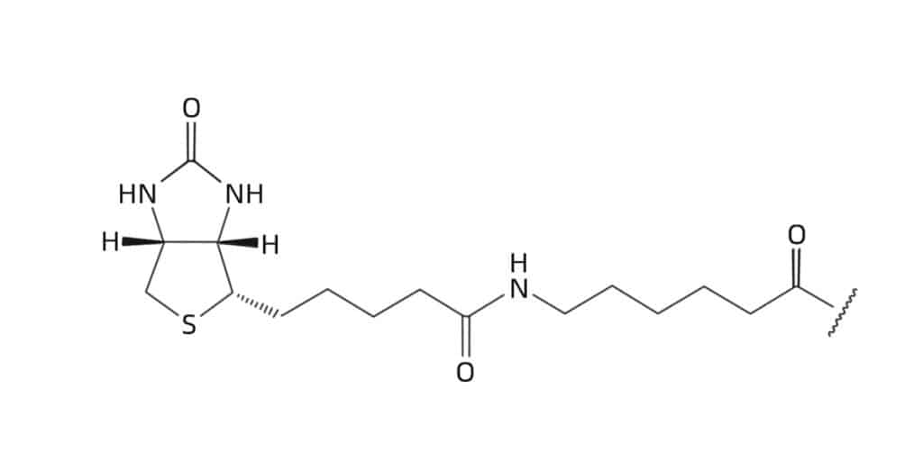 4.Biotin-Ahx