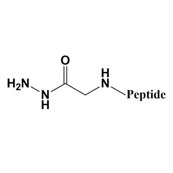 4.Hydrazidation