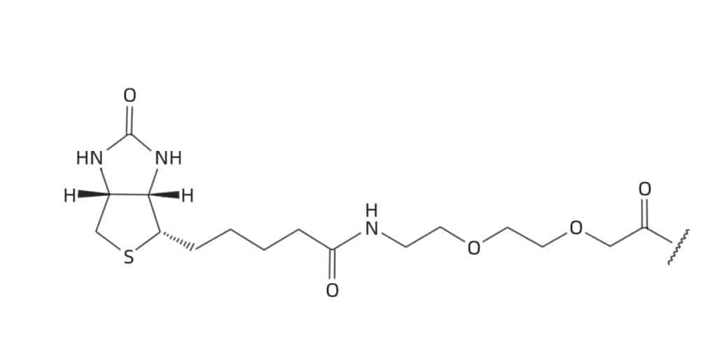 5.Biotin-PEG