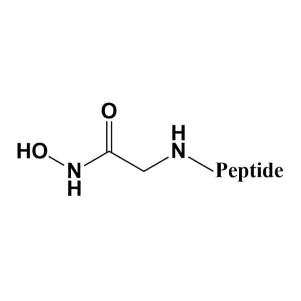 6.Hydroxamic-acid