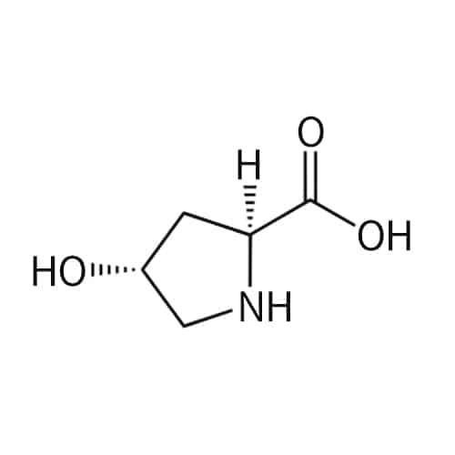 6.Hydroxyproline