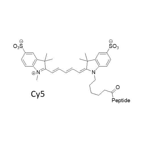 7.Cy5