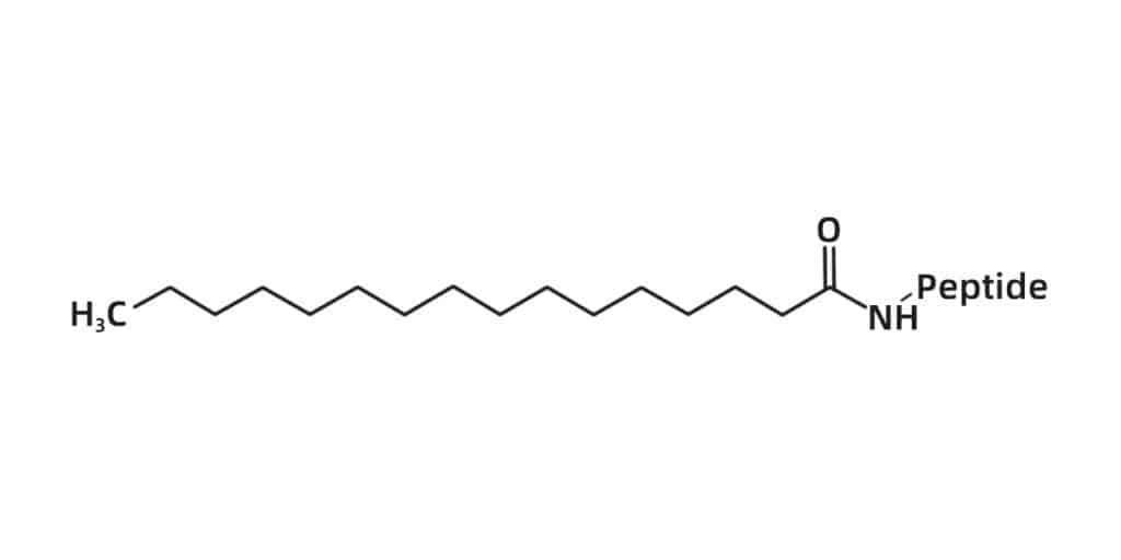 8. Fatty acid