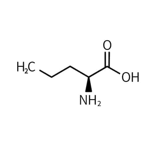 8.Abu-(α-Aminobutyric-acid)