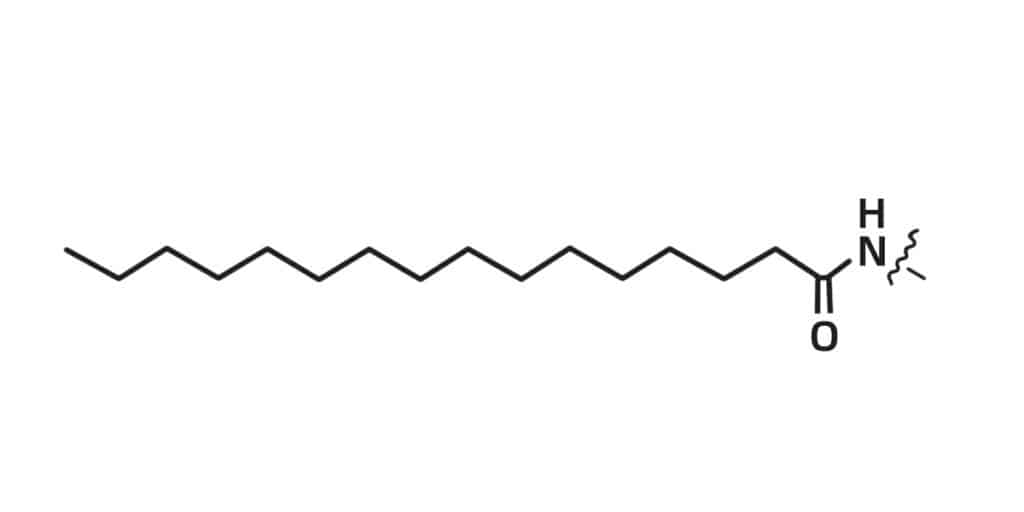 9.Palmytoyl