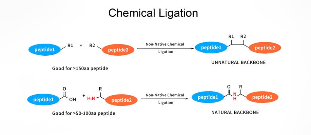 Chemical ligation