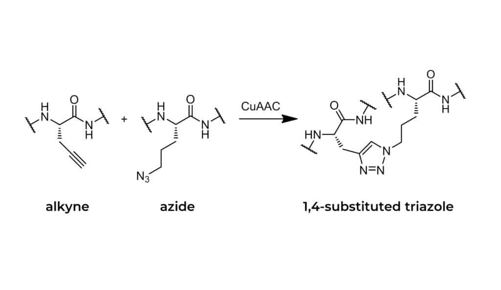 CuAAC reaction