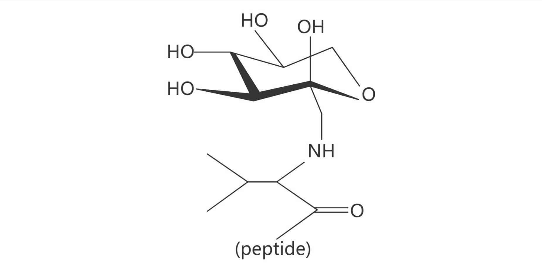Glycated Valine (Amadori product)