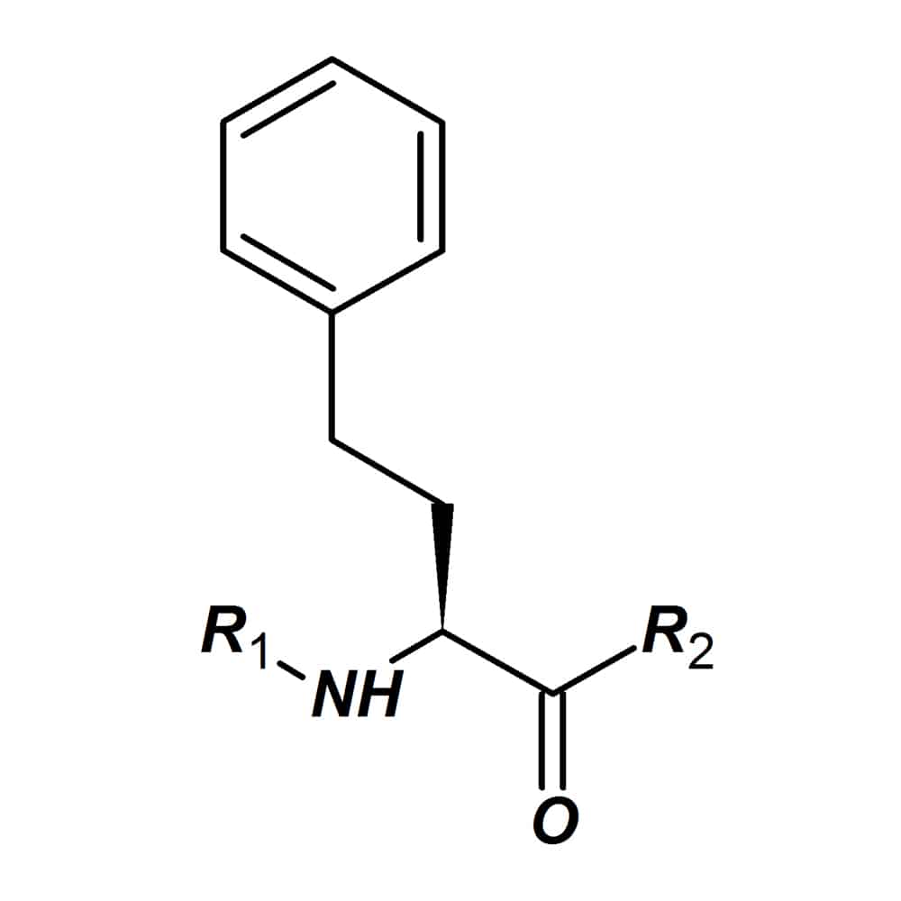 Homo-amino acids
