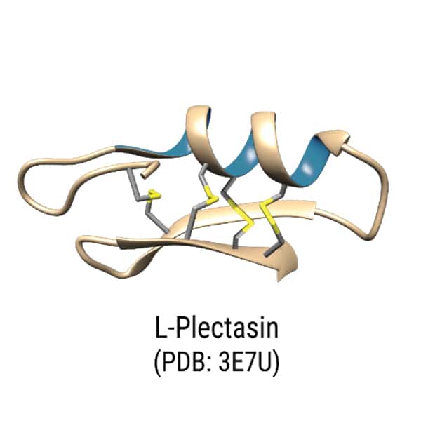 human LL-37