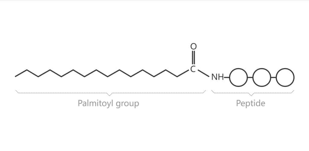 Palmitoylation