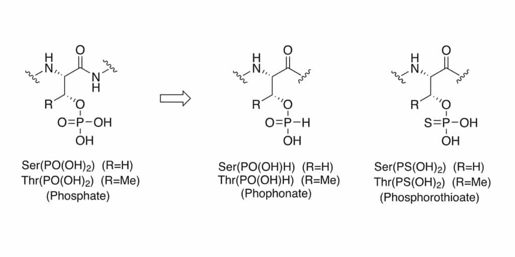 Phosphorus Ser&Thr