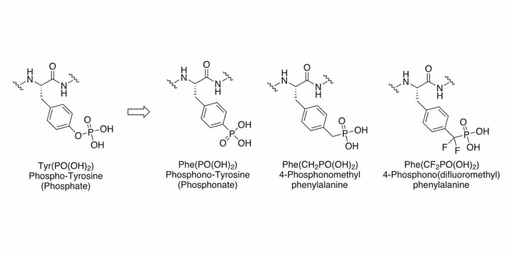 Phosphorus Tyr