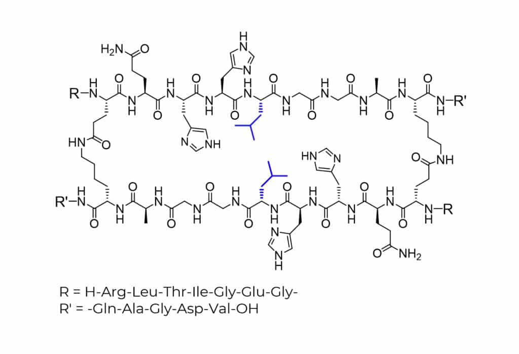 SIL peptide