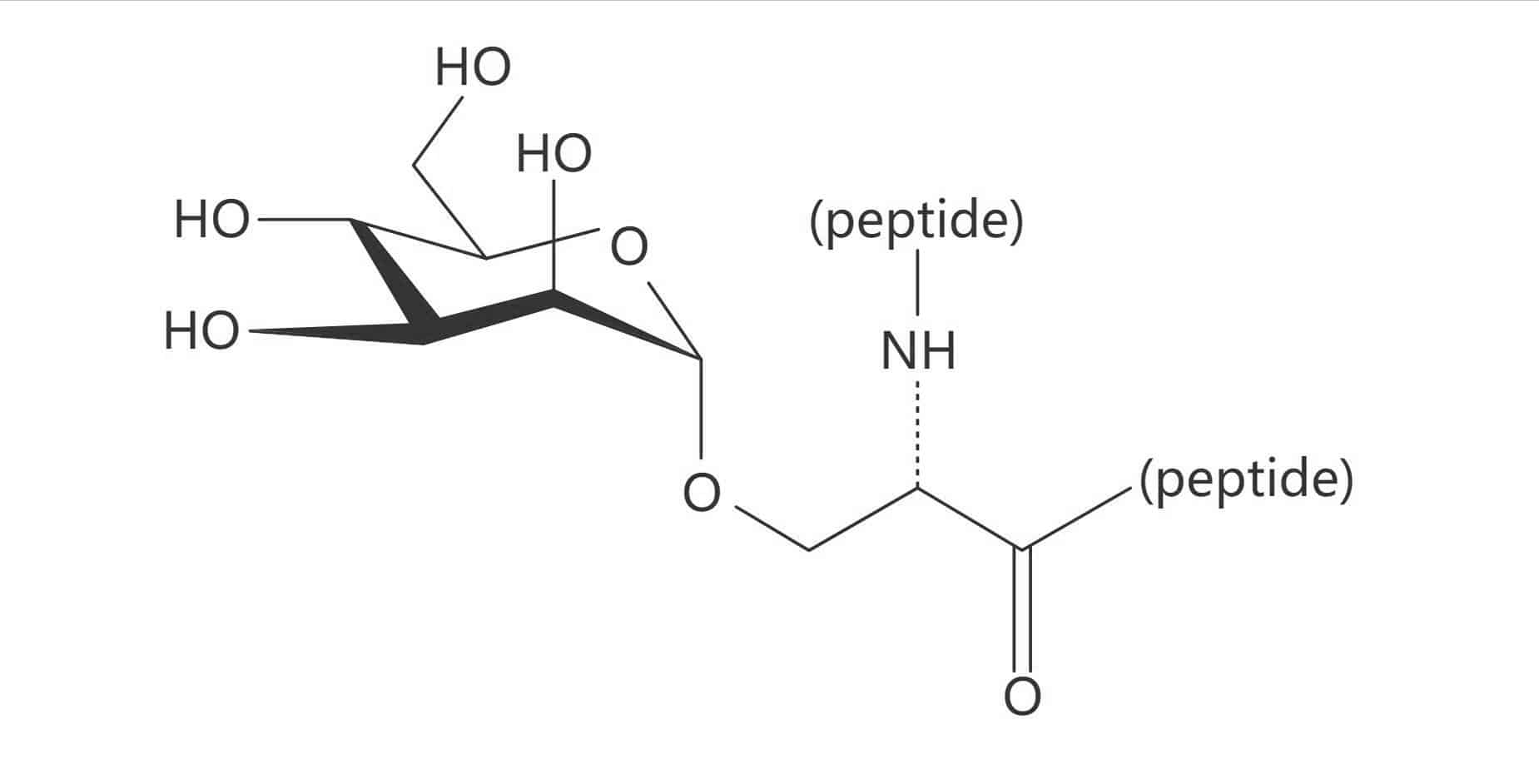 Ser(α-D-Man)