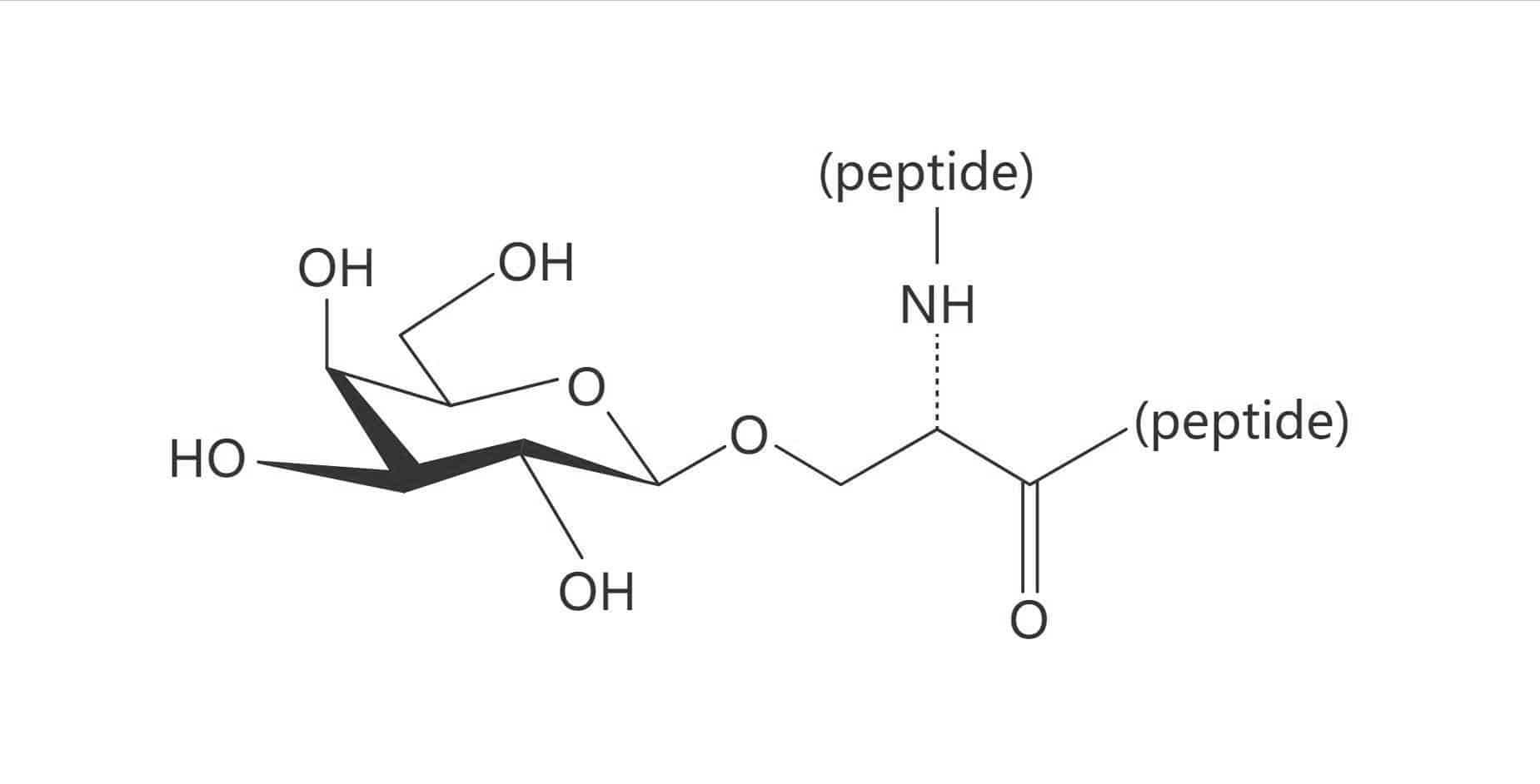 Ser(β-D-Gal)