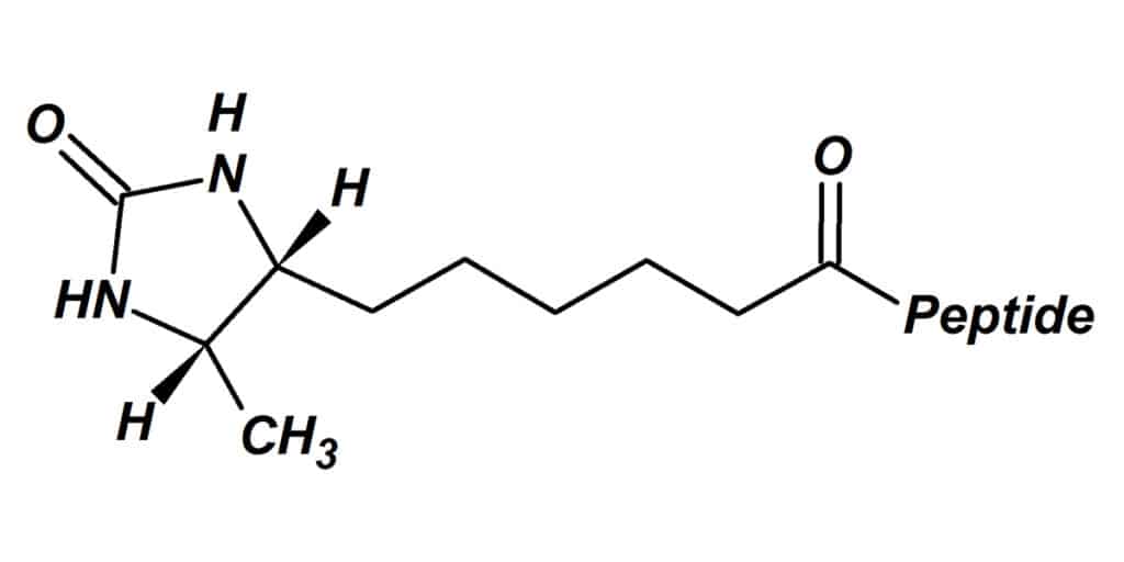 desthiobiotin