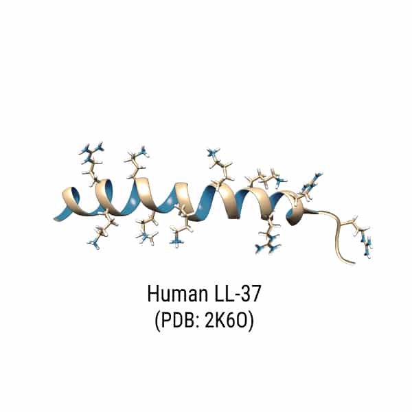 human LL-37