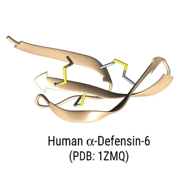 human LL-37