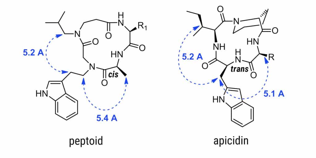 peptiod vs apicidin
