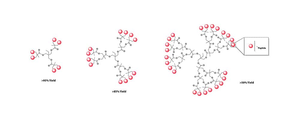 2.Peptide Dendrimers