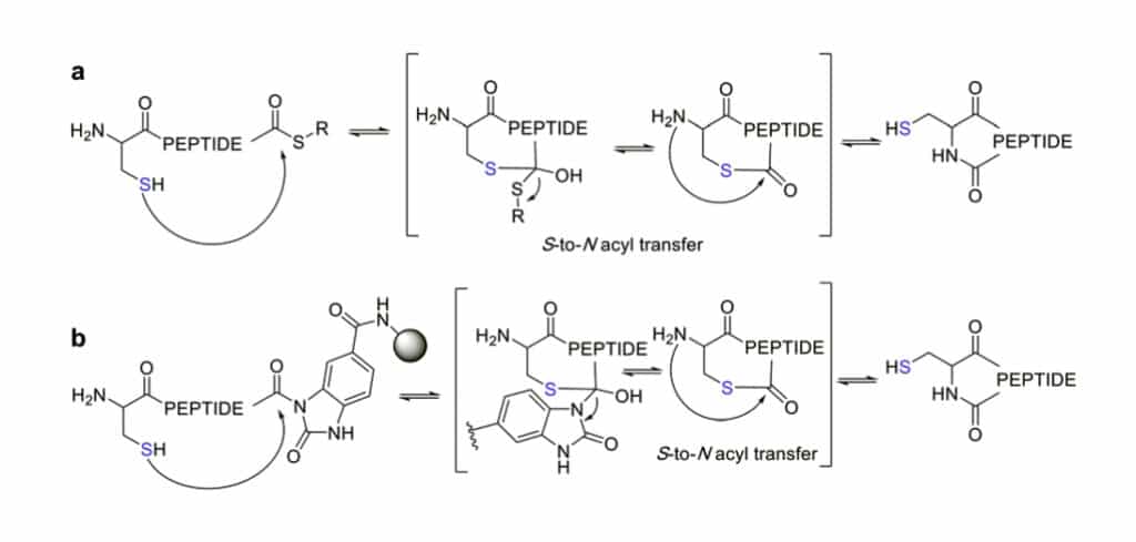 1. Sulfur Mediated Cyclization