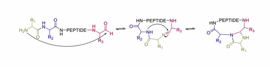 10.1 4-imidazolidinone Cyclization