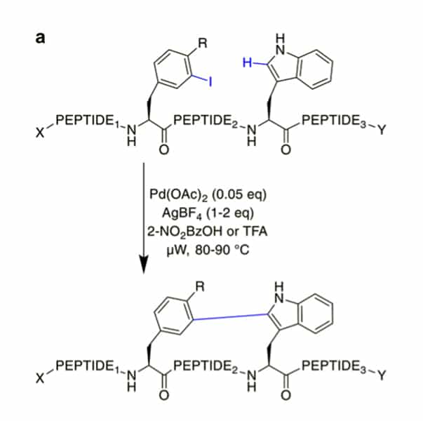 22. CH-Activation-1