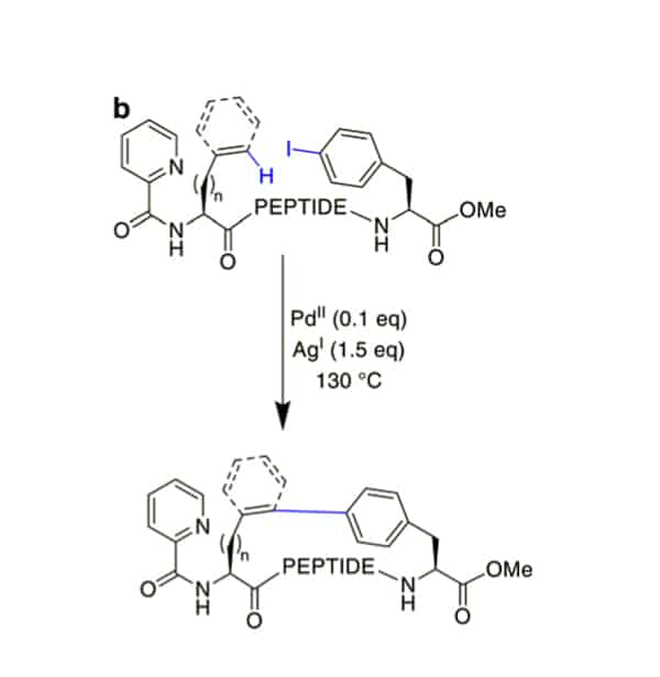 22. CH-Activation-2