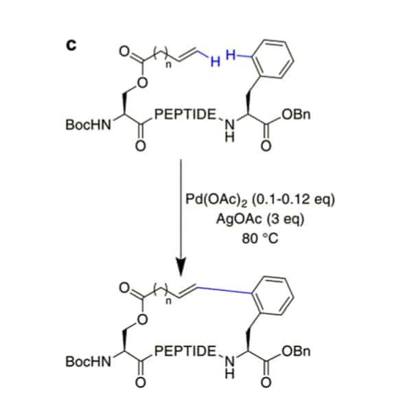 22. CH-Activation-3