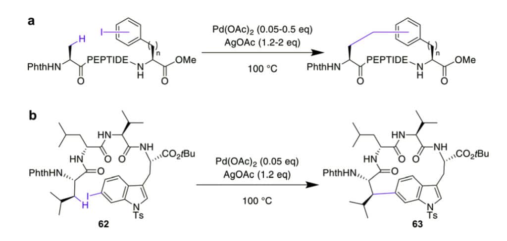 23. Oxidative Cross Coupling Cyclization