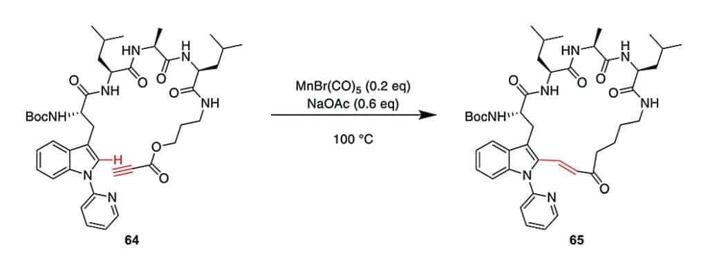 24. Macrocyclic Propargylic Ester