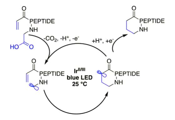 25. Ir-photocatalyzed Macrocyclization