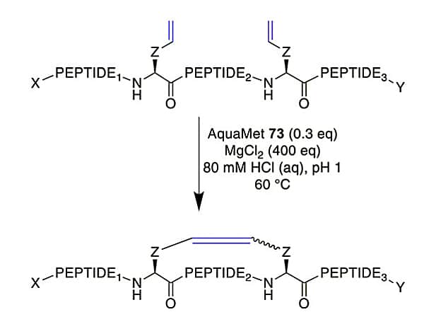 29. Unprotected Alkene-bridged Cyclization