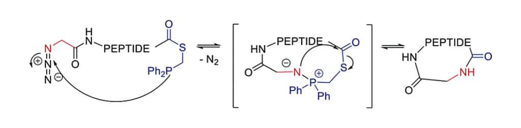 5. Staudinger Macrocyclization