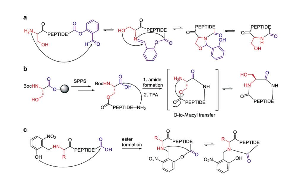 7.O-to-N Migration Cyclization