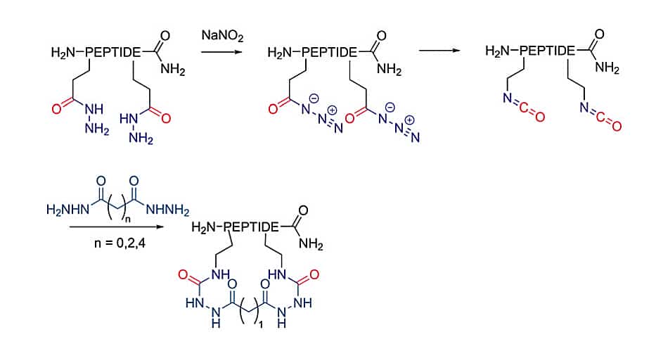 8. Isocyanate Cyclization