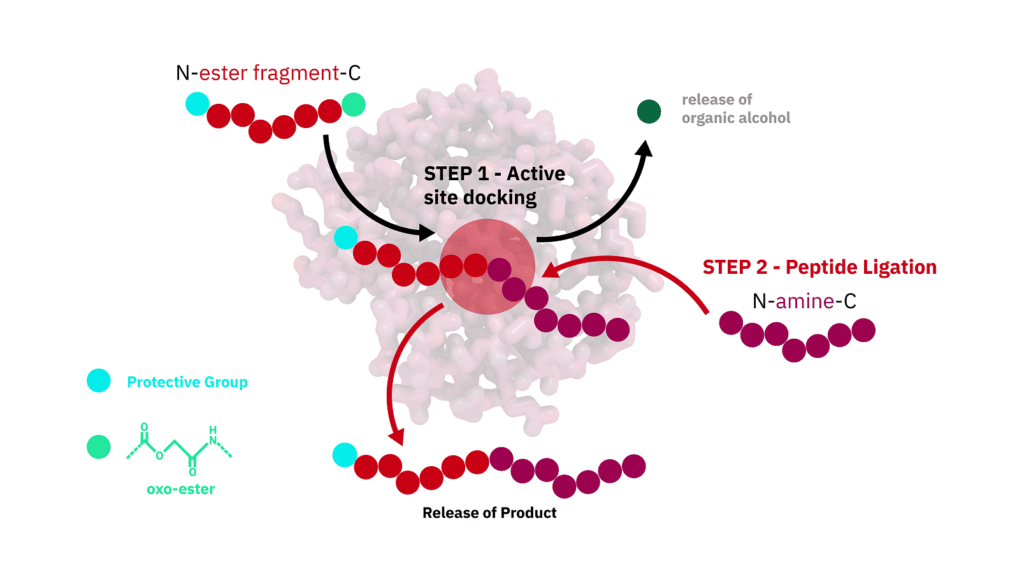 1. CEPS Mechanism