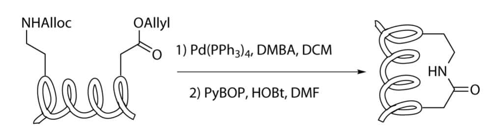 13. Lactamization-stapling-reaction