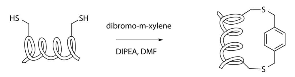 15. Cysteine-Xylene-Stapling