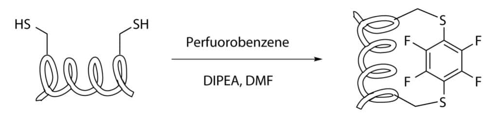 16. Cysteine-Perfluorobenzene-Stapling