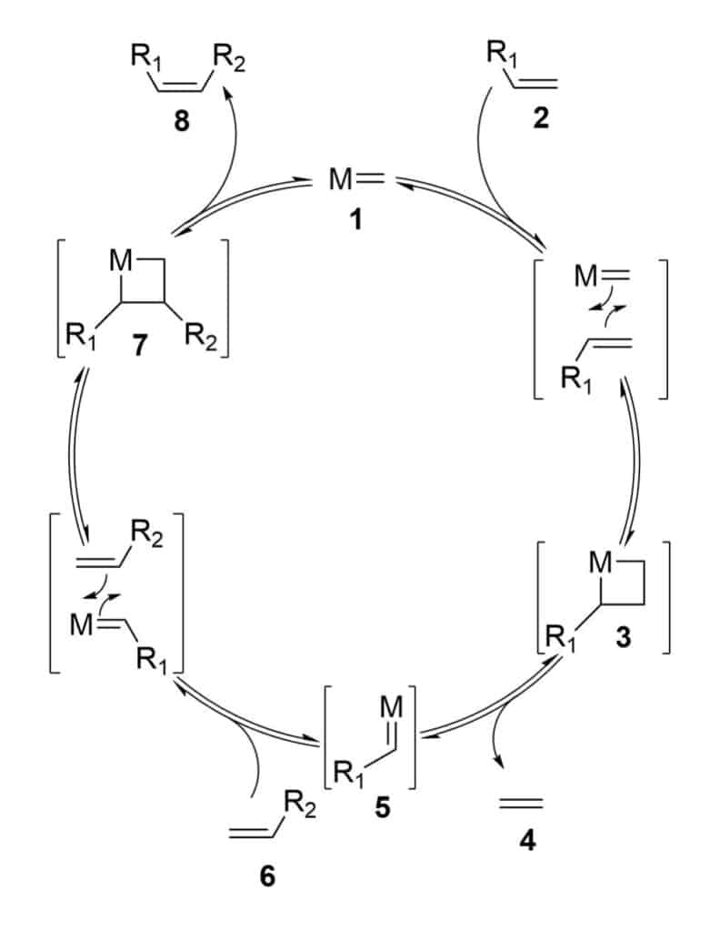 2. Ring-Closing-Metathesis-Mechanism