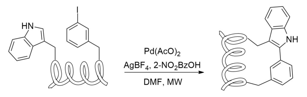 20. C-H-activation-Stapling