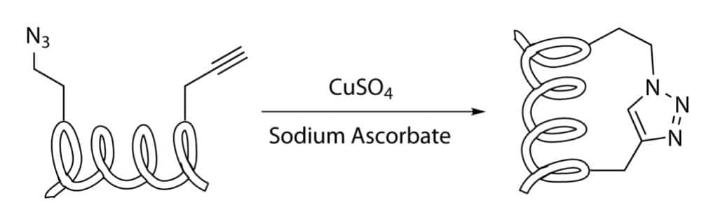 5. CuAAC-Stapling