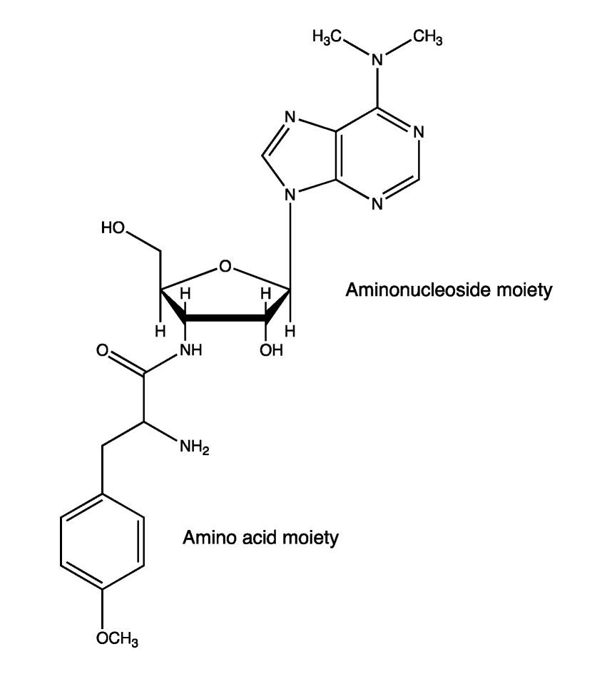 5.Structure of puromycin